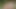 Harika Asyalı femmes seksi açık havada grup sekste sakso vinyetleri! Japon XXX.