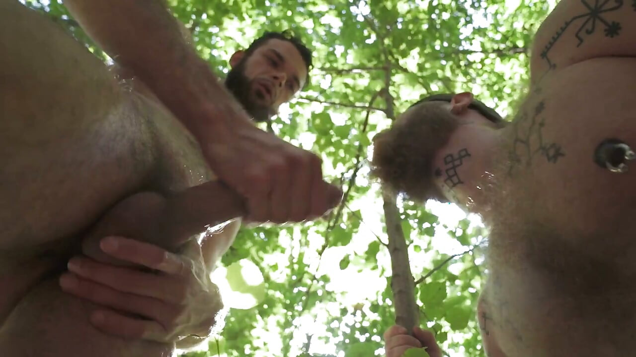 Gang Bang dans la Forêt
