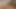I Let Stranger Free Use My Body in the Car getting Pleased by Masturbating and Playing with My Boobs