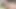 Fucking in an oil palm plantation, big cock shoots sperm