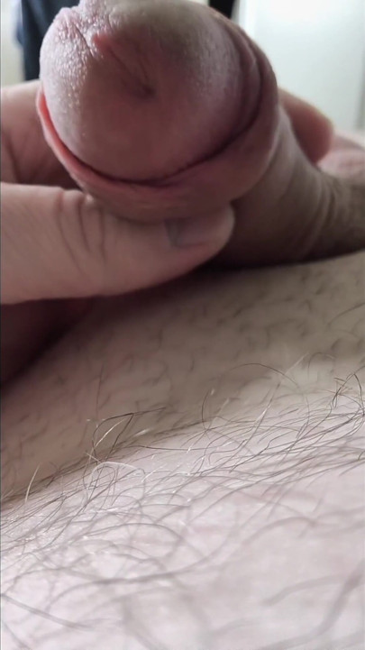 Camera Flight Over the Bear's Hairy Belly