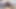 Precum Worship +10 Loads Cumshot