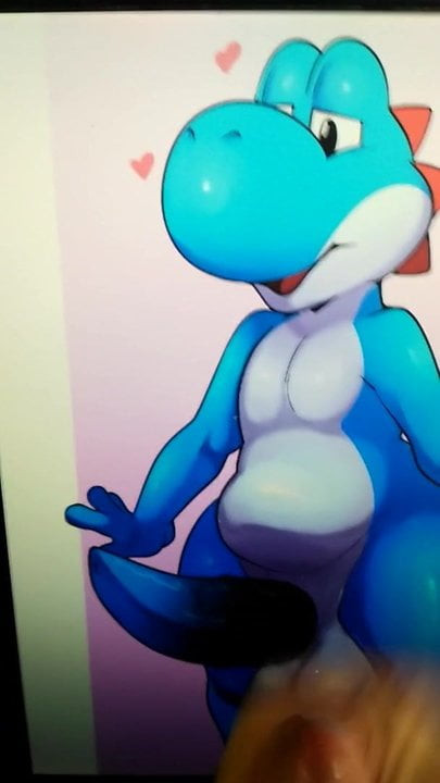 Blue Yoshi SOP