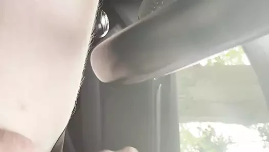 Im Auto.