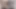 Kırmızı mini elbiseli inek esmer, siyah külotlu çorap erkek arkadaşının en iyi arkadaşının istiyor