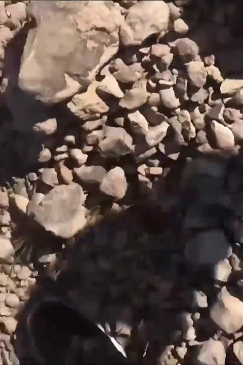 Sweet Young Pussy in the Open Desert