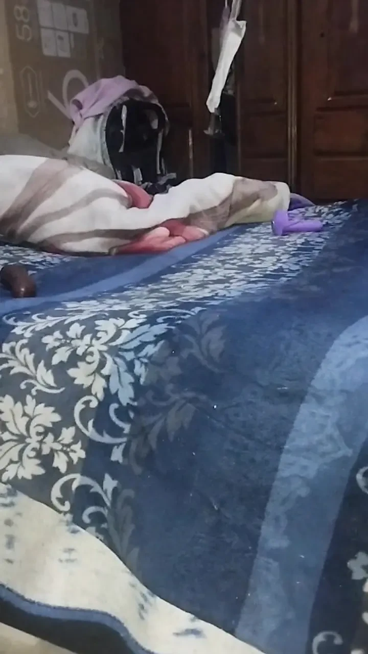 Anal and double penetration with dildo