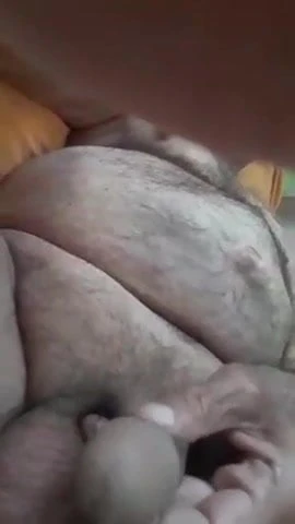 oldmenburhanerdeger