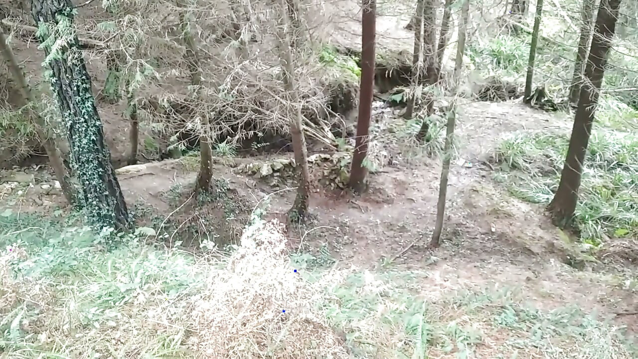 Hiker Takes Out His Dick Looking for Mushroomsand Unloads Semen in One of Them