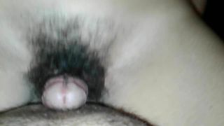 hairy pussy roll my dick