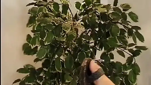 Adegan seks Mira in LA SIGNORA DEGLI UCCELLI 04