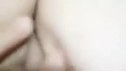 Muschi