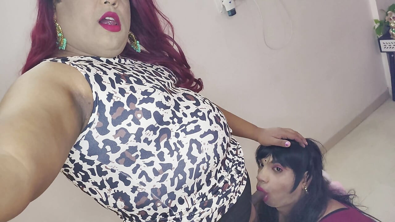 मेरे पालतू विकसित झगड़े के साथ खेलो