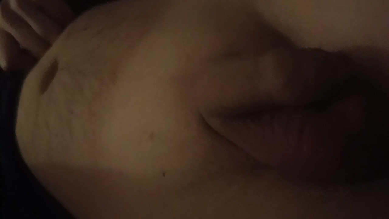 マイリトルバード