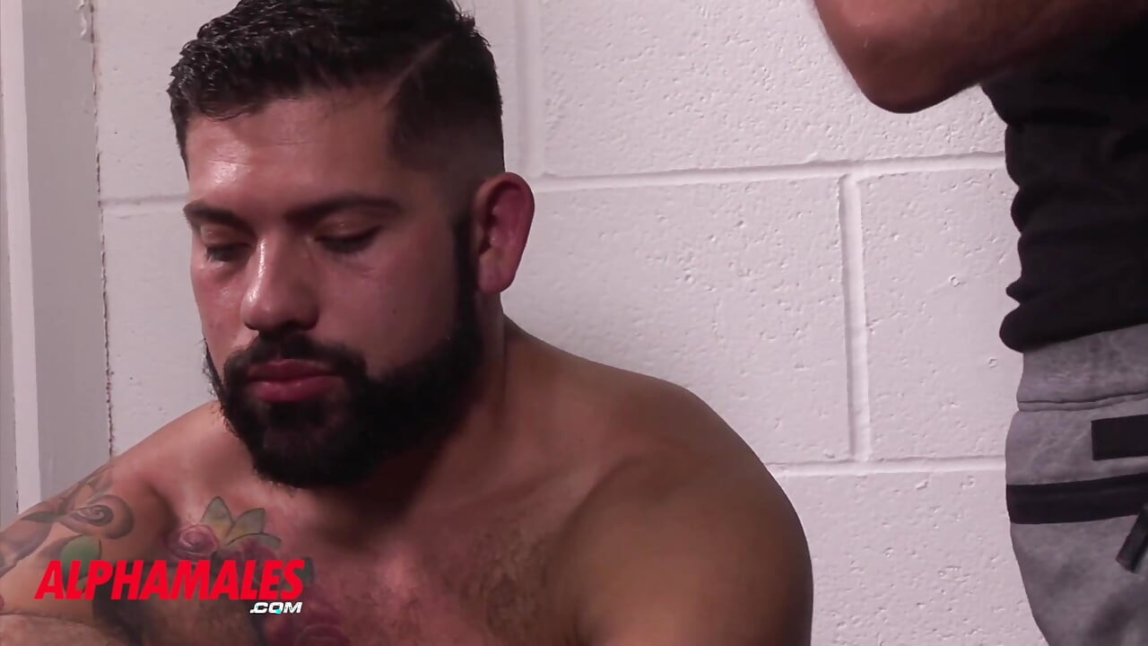 Alphamales.com - Fuck in the sports locker room between manly guys