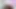 I masturbated and recorded just when I get a lot of milk