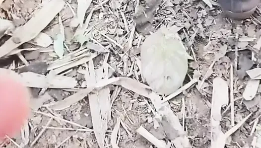 Nahm meine stiefschwester und ließ sie im wald