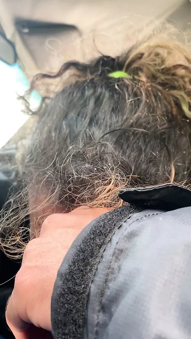 Spanish car head