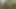Orgasm in the forest