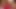 Oynak lezbiyenler sophie dee ve austin taylor seks oyuncaklarına bayılıyor!