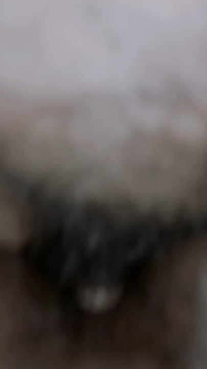 Key moment from "This boy is crazy about fucking me, so let him fuck me like I want"