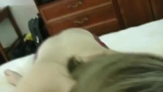 Глубокие навыки Alex сияют