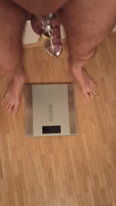 The weighing and cagecheck