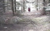 Videoförhandsgranskning