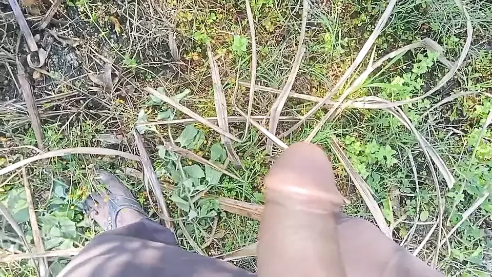 Sugarcane is farmer gay hand job
