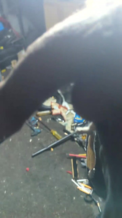 Eye urethra plug