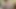 Masturbating silver daddy, masturbate with me