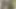 lotusexy videosu