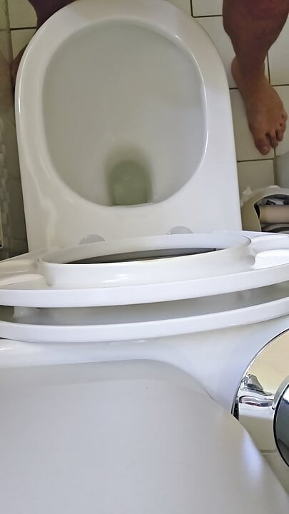 Toilet humiliation