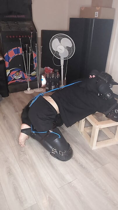 Votter Tisprakt Humping