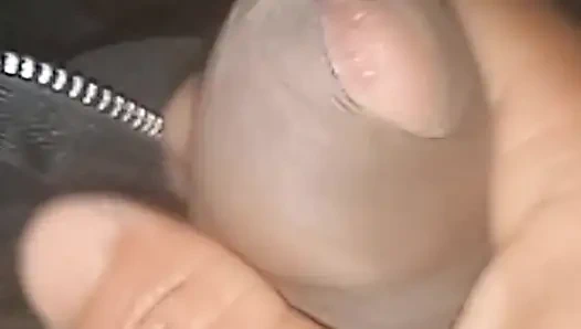 Ночь моя и жена