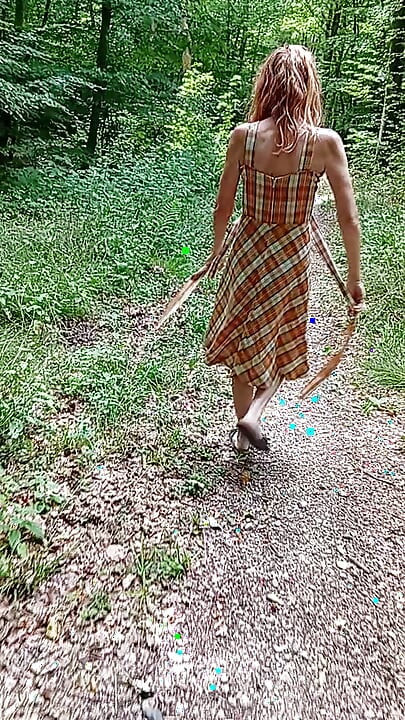 I walk in the forest 1