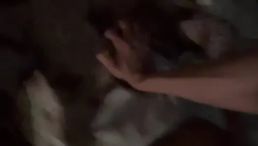 My stepbrother fucked me hard and rich