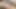 Sie ist neu, Amateur-Schlampe mit perfektem Arsch will sich dem Team anschließen und mit ihrem Sextape berühmt werden