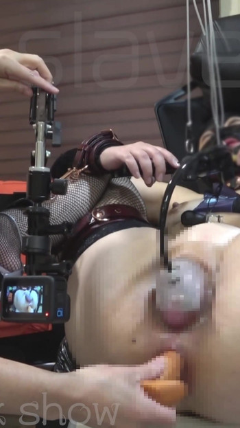 Pregled videozapisa