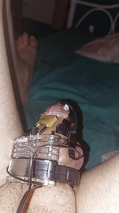 Estim Chastity