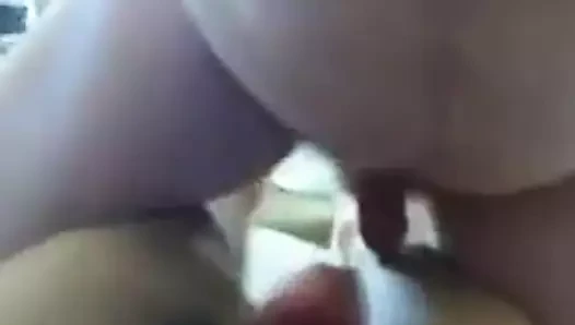 Kutup ayısı yarak emiyor