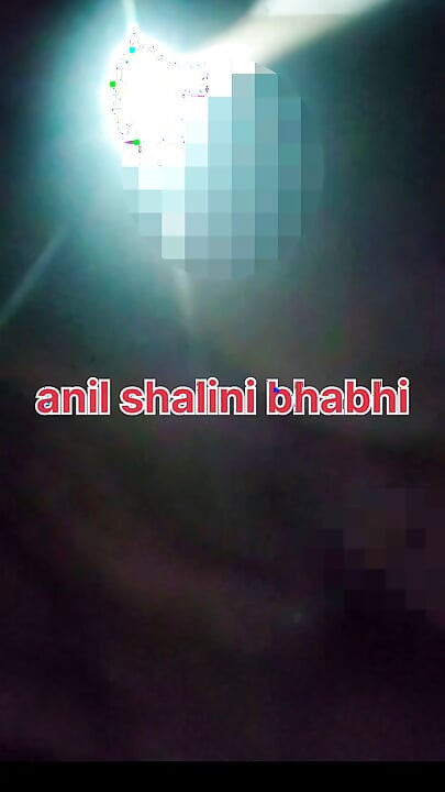 Anil shalni bhabhi ki deshi chudai hindi video