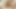 Nicole Ray talks her boyfriend into fucking and spraying her with cum on camera
