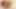 POV Blow Job with great eye contact with Nicole Aniston