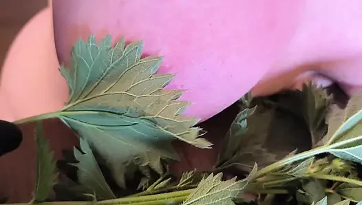 Isırgan otu içindeki çıplak memeler - sonra sert vurdu