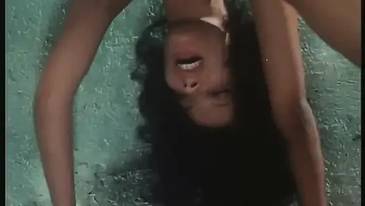 Die Schwänze versagen nie