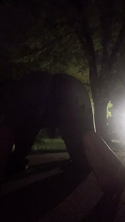 Fooling Around At Night Outside On The Sidewalk Fully Naked Part 4