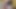 Schwuler junge transvestiert femboy lutscht und fickt dildo