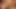 ドイツのプライベートセックス