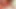 Schöne BBWs disziplinieren ihren devoten Sklaven